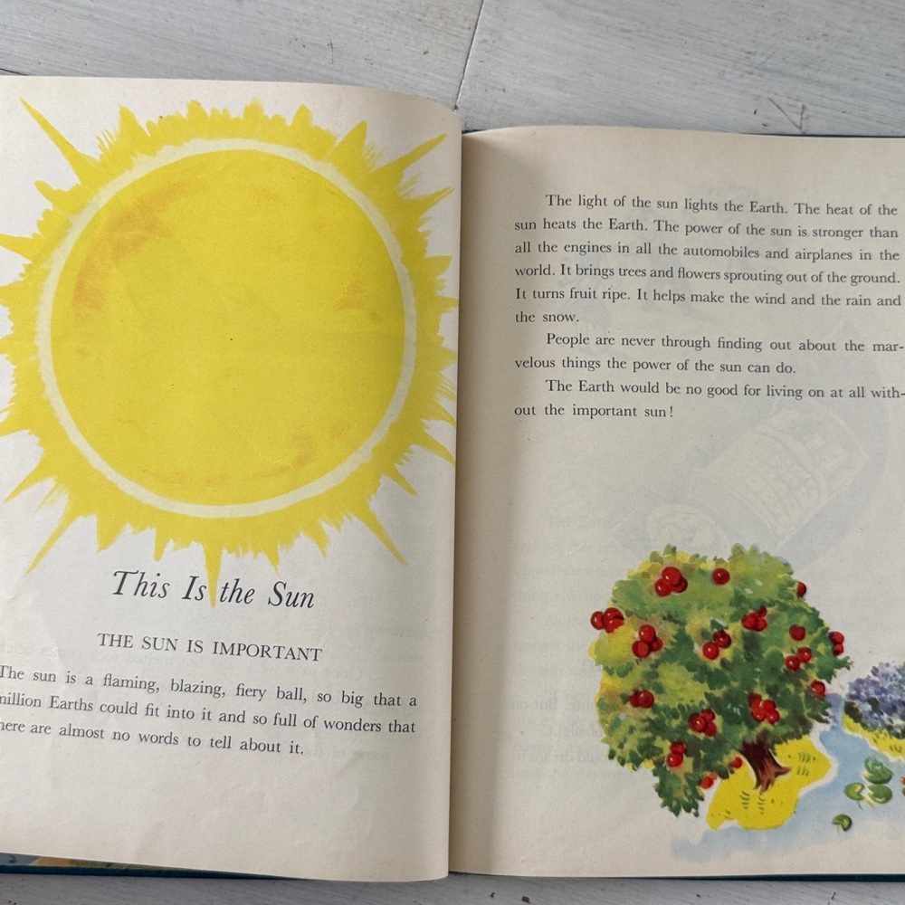 1946 ‘This is the World’ Vintage Children’s Book by Pease - Rand McNally - Picture 10 of 16